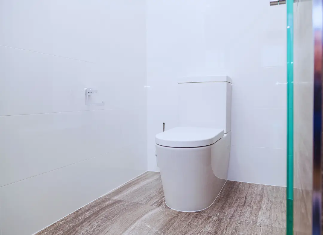 Remplacement de wc Sainte-Eulalie